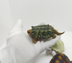 Bandai Gashapon Turtle Tortoise Figure Realistic 4 inch Direct from Japan