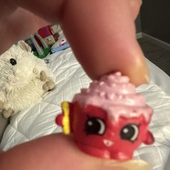 Mini Cupcake Shopkins with Face Plastic Pink/Red/Yellow Mini Figure Moose Brands