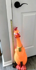 GIANT SCREAMING RUBBER CHICKEN – HUG ME – 27″AniMolds 2019 GAG TOY Tall & Loud