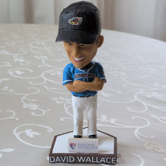 Akron RubberDucks David Wallace Bobblehead Original Packaging Box Dirty See Pics