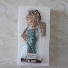 Akron Rubberducks The Todd Scrubs Bobblehead/Arm In Original Packaging.