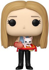 FUNKO POP! Television: Friends – Rachel Green [New Toy] Vinyl Figure